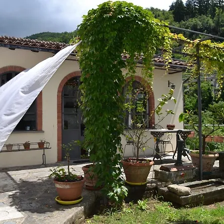 Holiday home La Limonaia Di Casagrande Barga