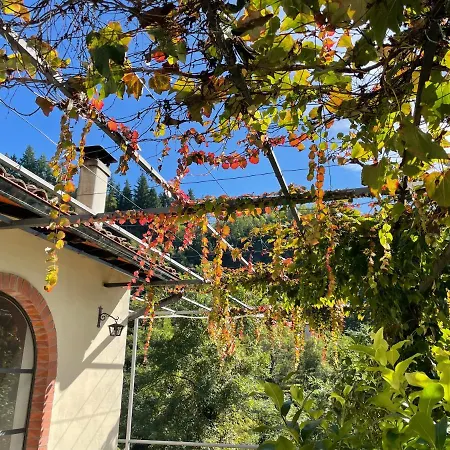 La Limonaia Di Casagrande Holiday home Barga