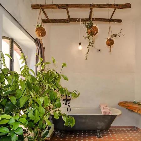 La Limonaia Di Casagrande * Barga
