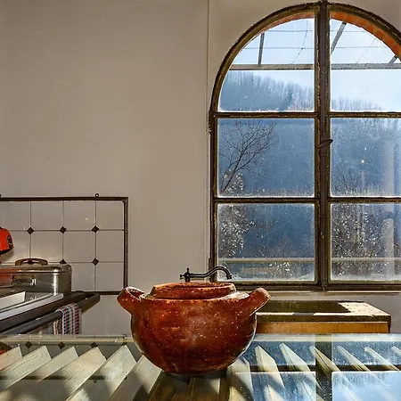 La Limonaia Di Casagrande Holiday home Barga