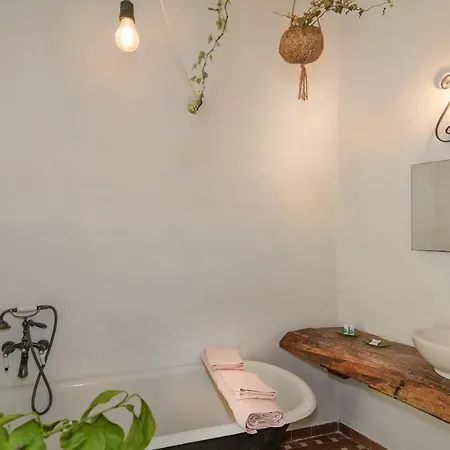 La Limonaia Di Casagrande Barga