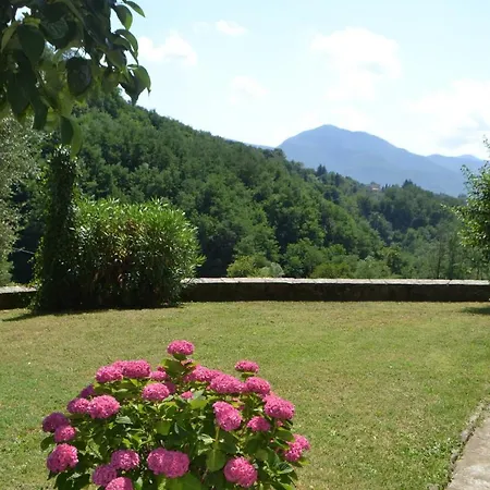 La Limonaia Di Casagrande * Barga