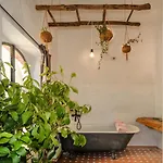 La Limonaia Di Casagrande * Barga