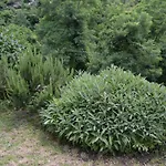 La Limonaia Di Casagrande Casa vacanze