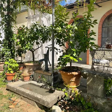 別荘 La Limonaia Di Casagrande バルガ