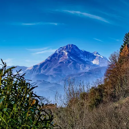 La Limonaia Di Casagrande 別荘