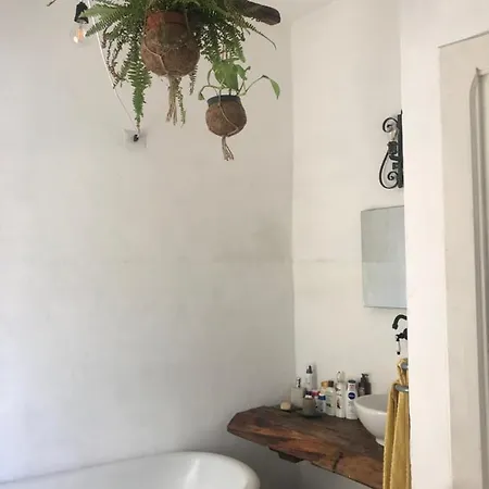 La Limonaia Di Casagrande * Barga